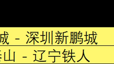 寒潮来袭，返程高峰交通保障，全力确保旅客出行安全